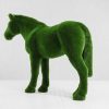 Horse - Image 5