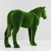 Horse - Image 6