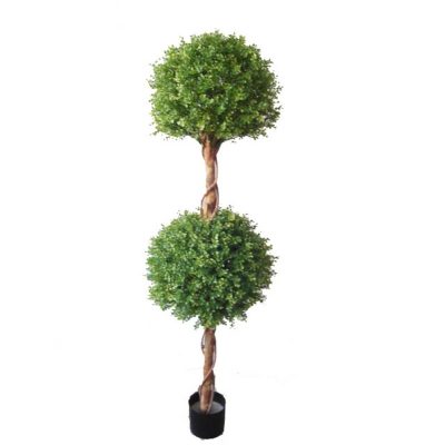 Boxwood Topiary