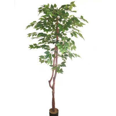 72" Super Deluxe Retusa Ficus Spray