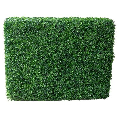 Boxwood Rectangle Hedge