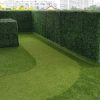 Envywall Boxwood - SALE! SAVE 20% - Image 2