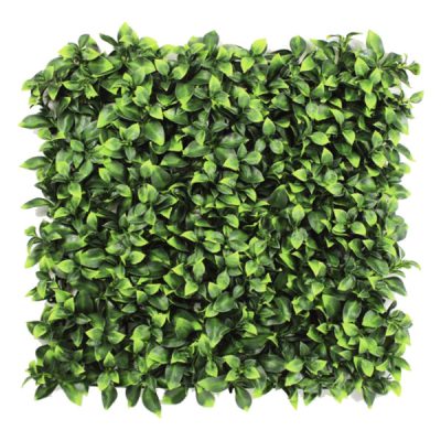 Envywall Benjamina Boxwood - SALE! SAVE 20%